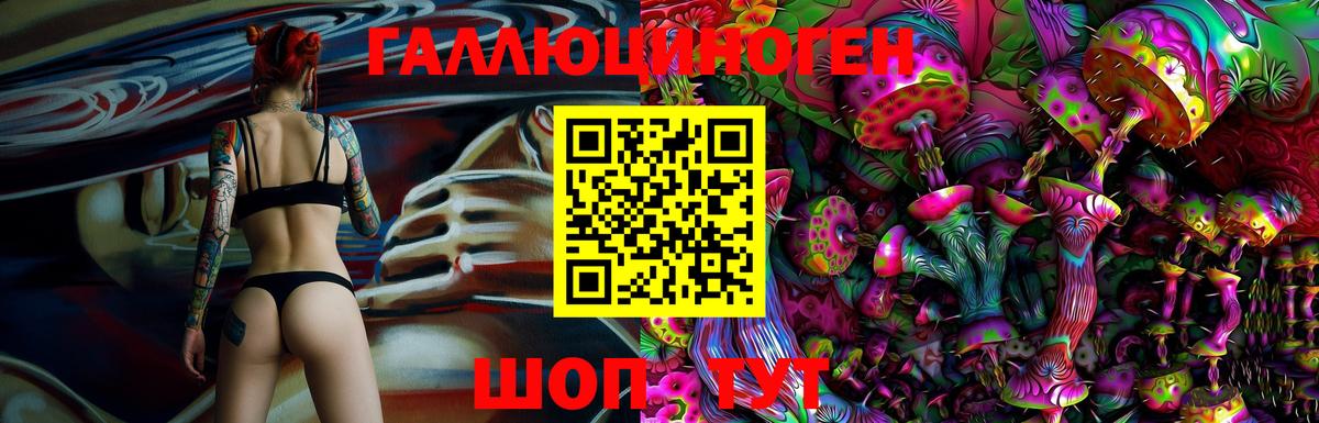 Донецк  Псилоцибиновые грибы Psilocybine cubensis  Вход с VPN 